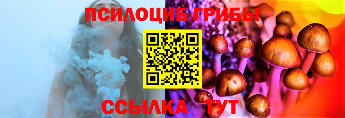 Галлюциногенные грибы GOLDEN TEACHER  Вход с VPN  Галлюциногенные грибы MAGIC MUSHROOMS  Чапаевск 