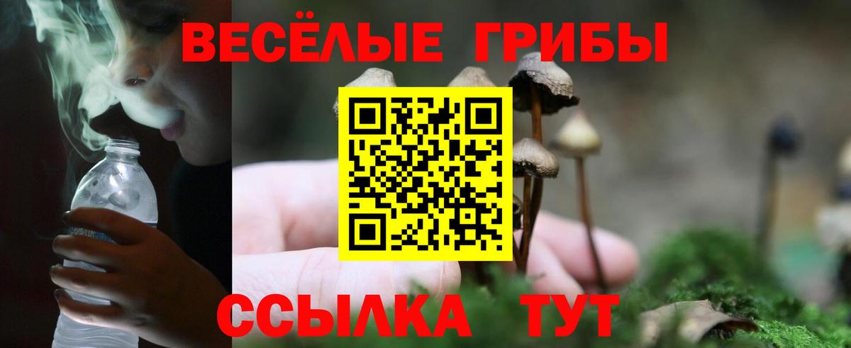 Псилоцибиновые грибы мицелий Чапаевск